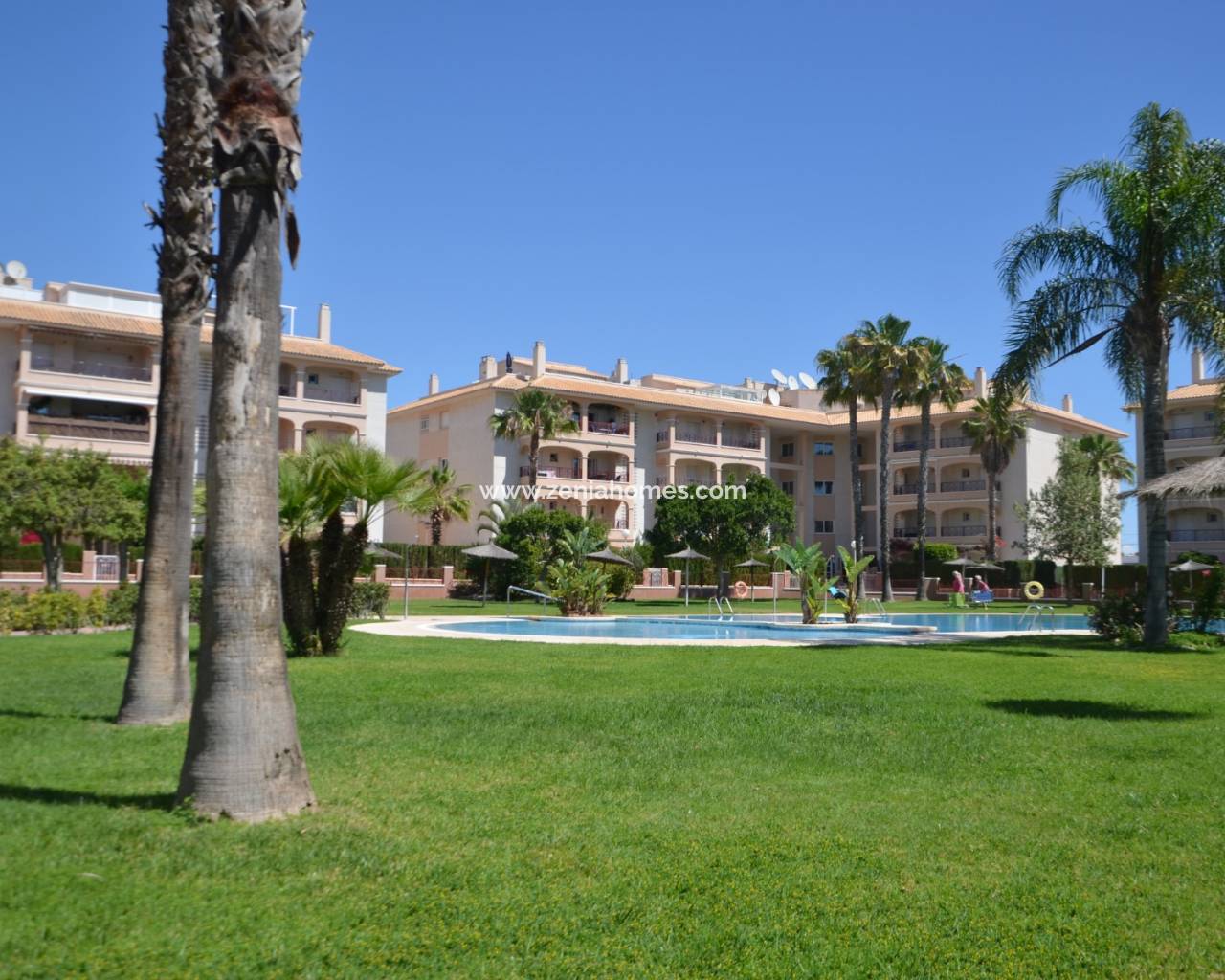 Ático - Venta - Orihuela Costa - Playa Flamenca