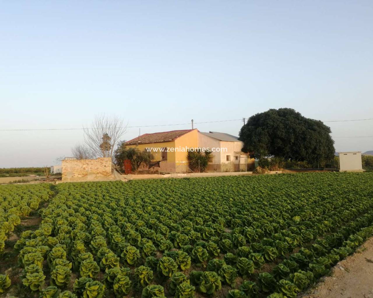 Chalet Independiente - Venta - Orihuela - TI-31500