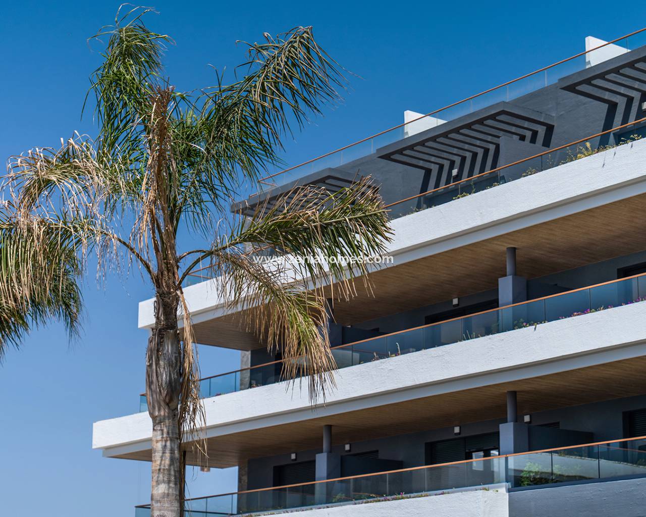 Einbýlishús - New Build - ﻿Torrevieja (Alicante) - Spain