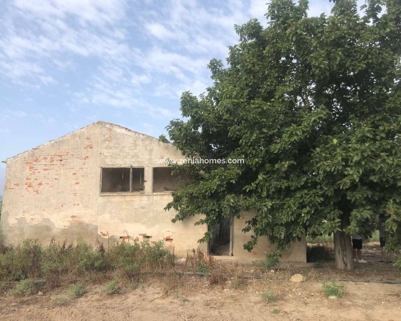 Finca - Resale - Callosa de Segura - TI-12998