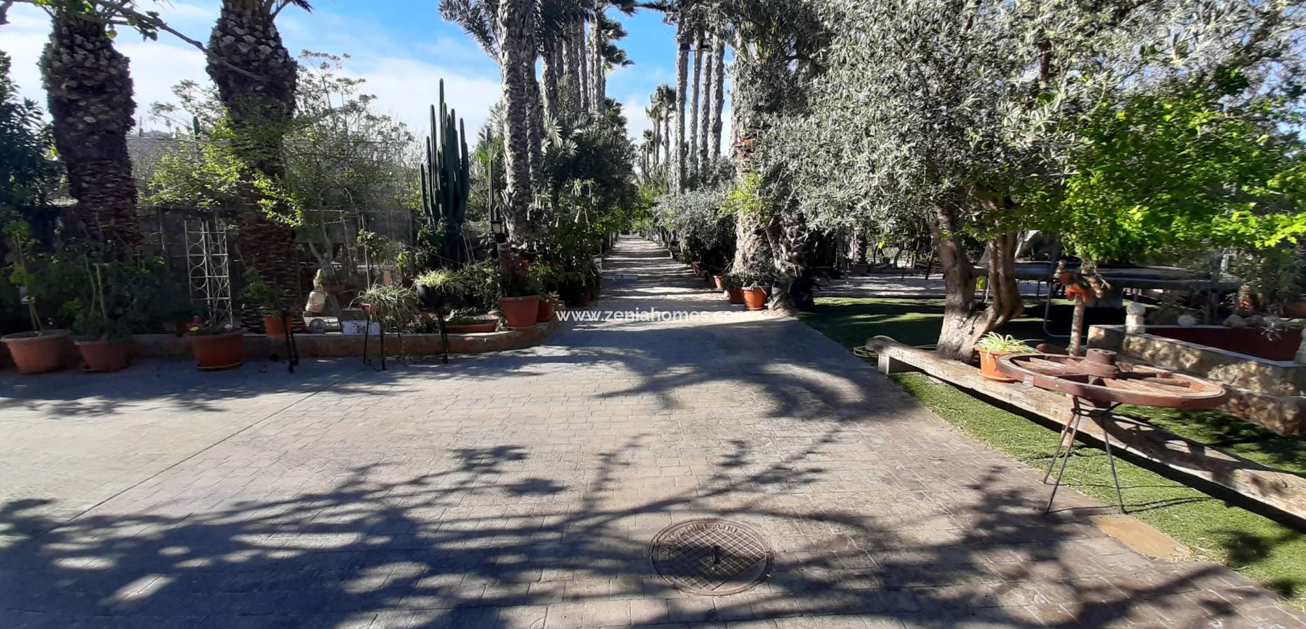 Revente - Finca - Orihuela