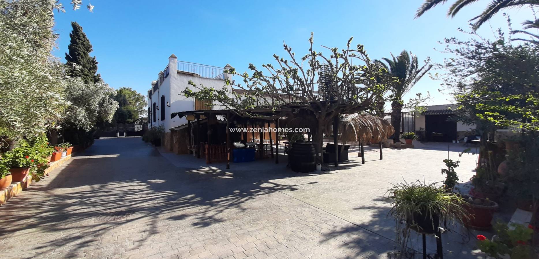 Revente - Finca - Orihuela