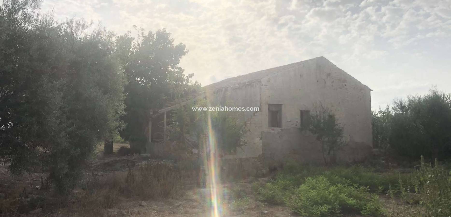 Venta - Finca - Callosa de Segura