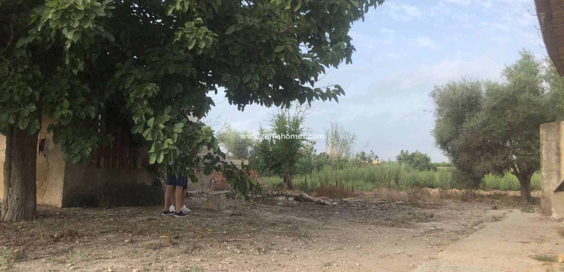 Venta - Finca - Callosa de Segura