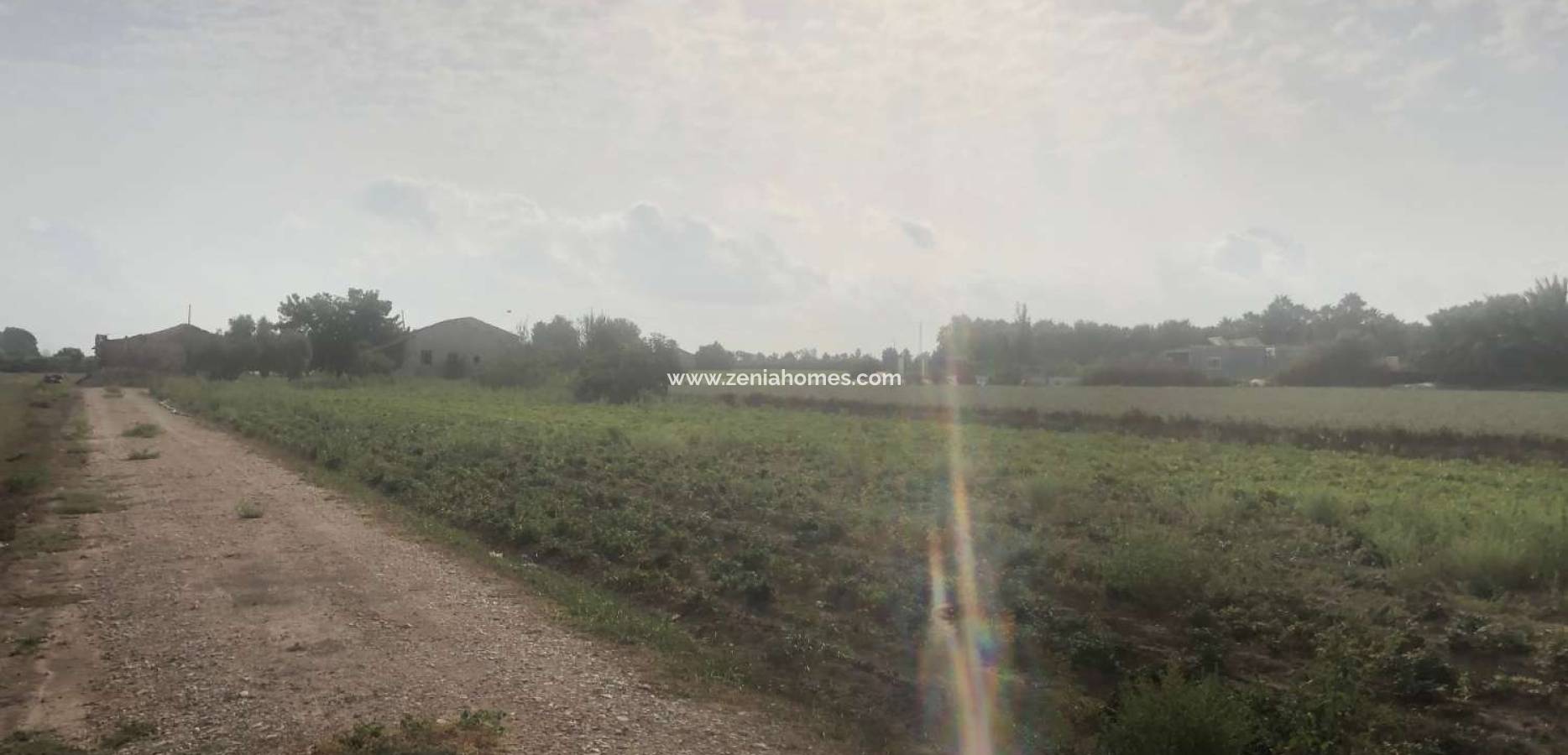 Venta - Finca - Callosa de Segura