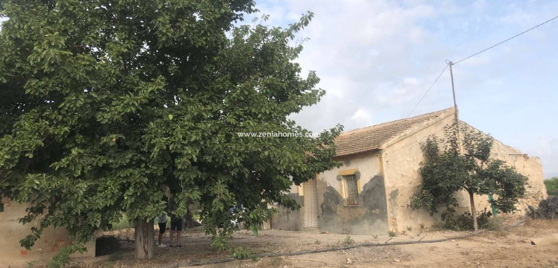 Venta - Finca - Callosa de Segura