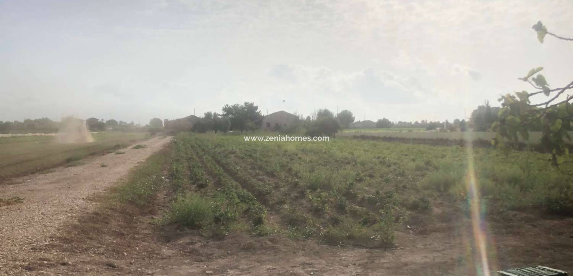 Venta - Finca - Callosa de Segura