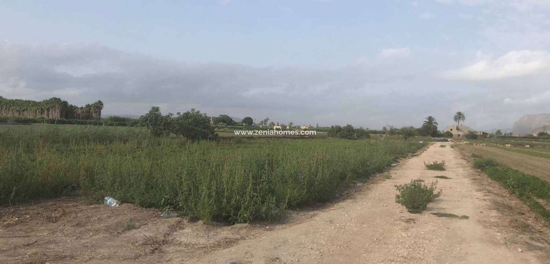 Venta - Finca - Callosa de Segura