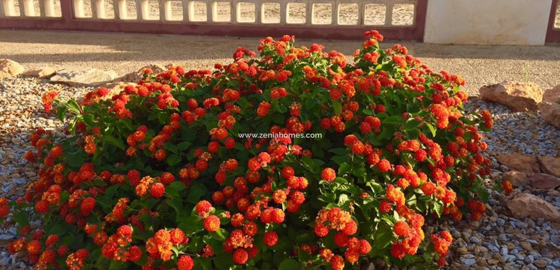 New Build - Semi-Detached Villa - Los Urrutias