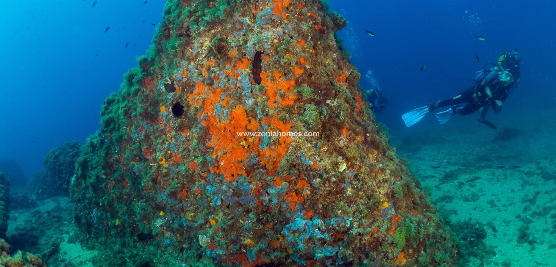 New Build - Wohnung - Aguilas