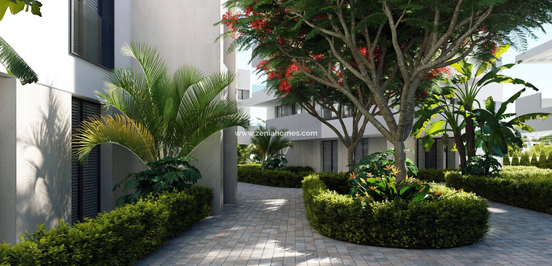 New Build - Lejlighed - Torre Pacheco