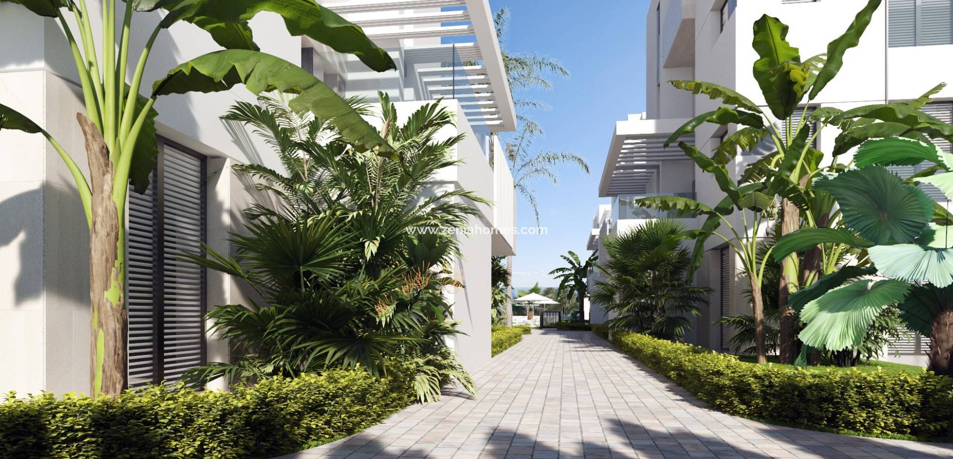 New Build - Penthouse - Torre Pacheco