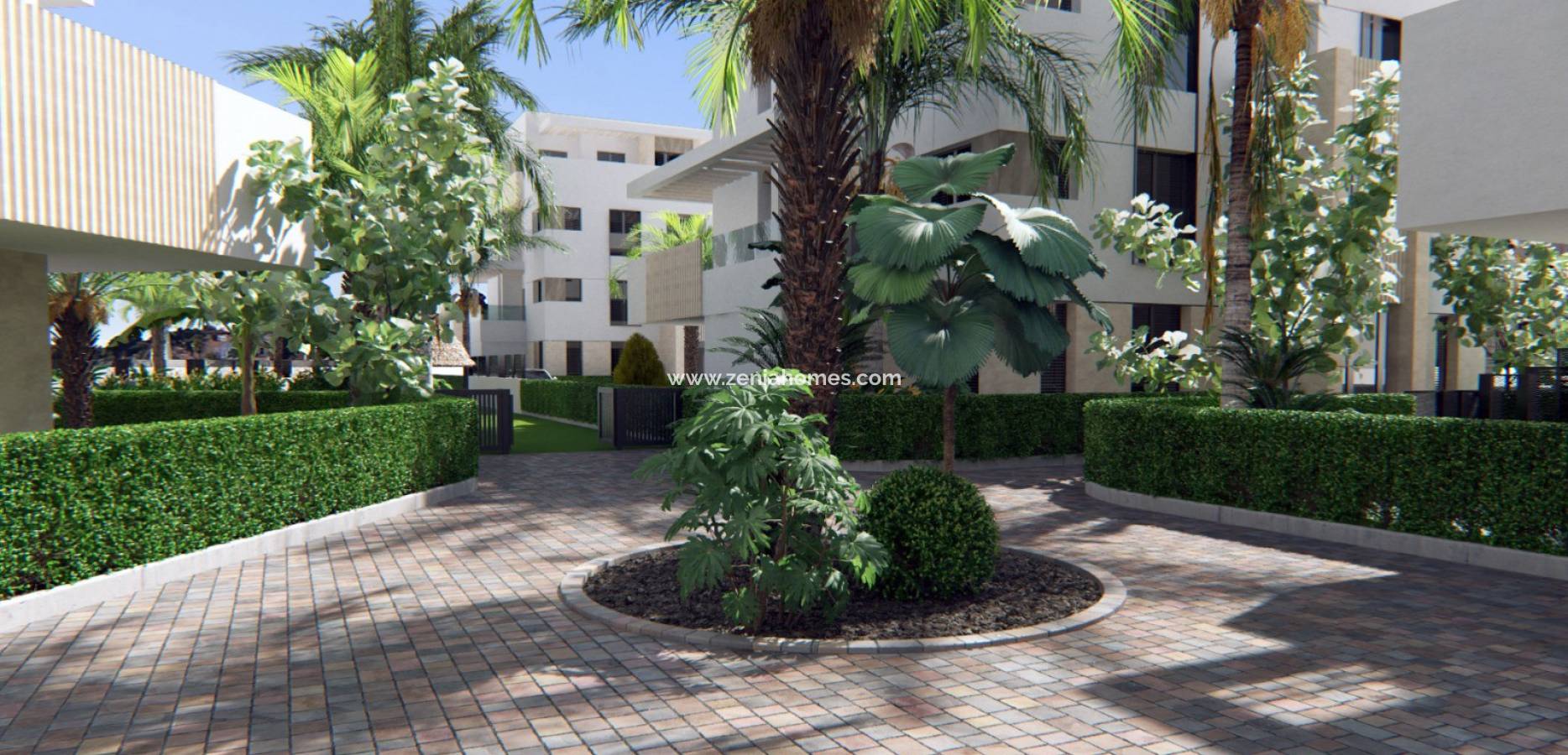 New Build - Penthouse - Torre Pacheco