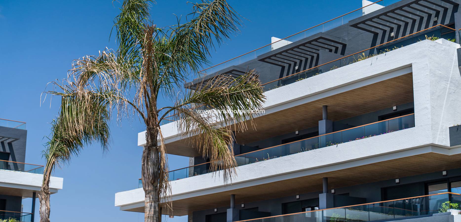 New Build - Wohnung - ﻿Torrevieja (Alicante) - Spain